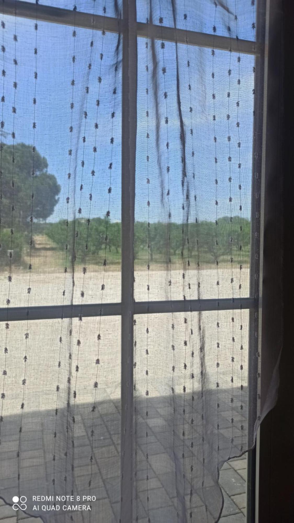 Agriturismo L' Annunziata Лиццано Номер фото